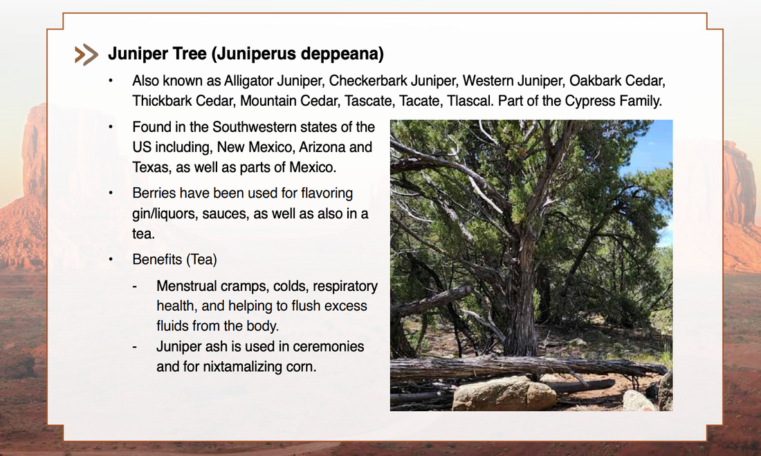 Juniper