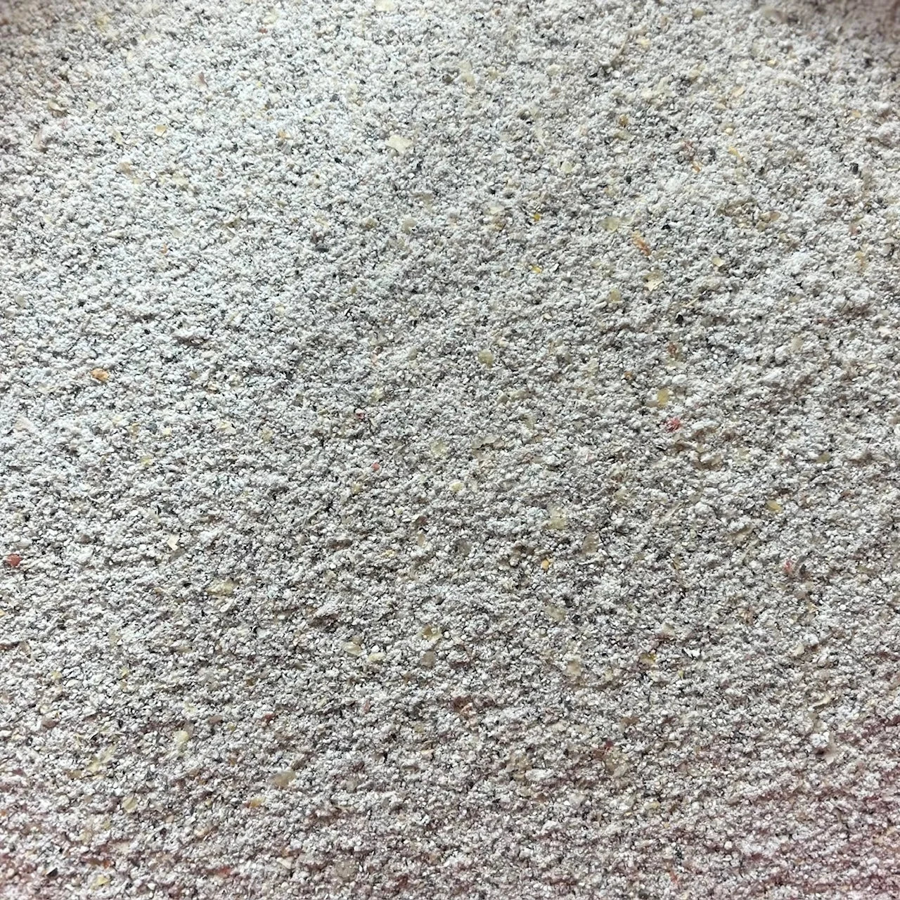 IFL Blue Cornmeal