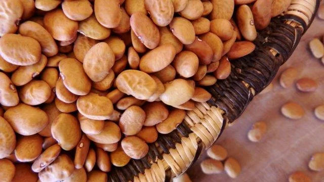 Brown Tepary Beans