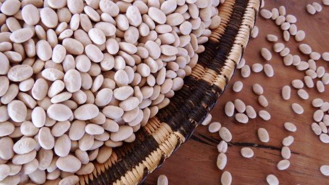 White Tepary Beans
